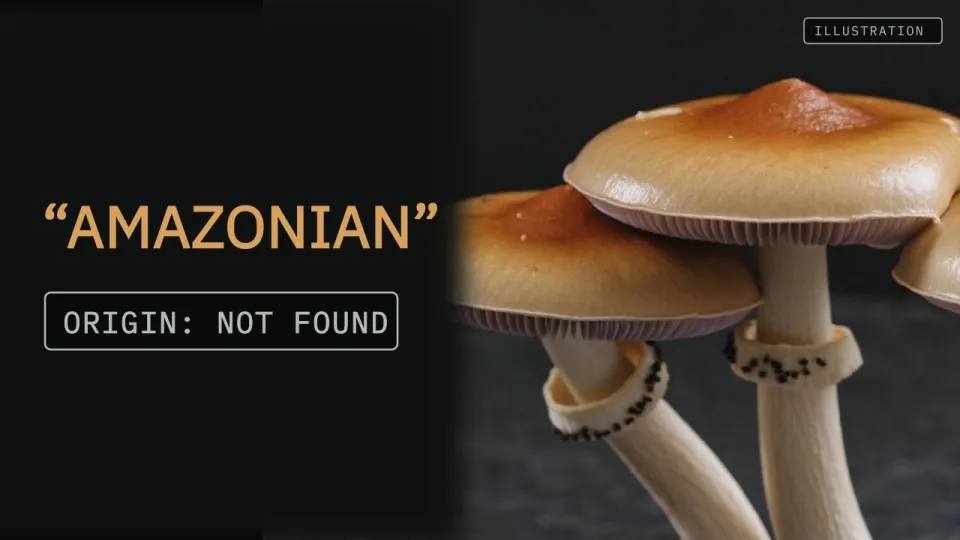 Amazonian Mushroom, Exploring Its Origins and Significance